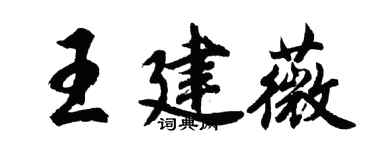 胡問遂王建薇行書個性簽名怎么寫