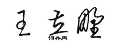 駱恆光王立野草書個性簽名怎么寫