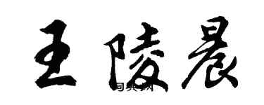 胡問遂王陵晨行書個性簽名怎么寫