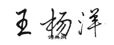 駱恆光王楊洋行書個性簽名怎么寫