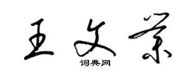 梁錦英王文業草書個性簽名怎么寫