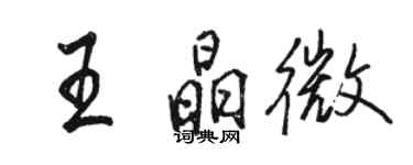 駱恆光王晶微行書個性簽名怎么寫