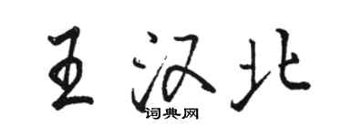 駱恆光王漢北行書個性簽名怎么寫