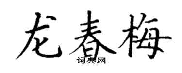 丁謙龍春梅楷書個性簽名怎么寫