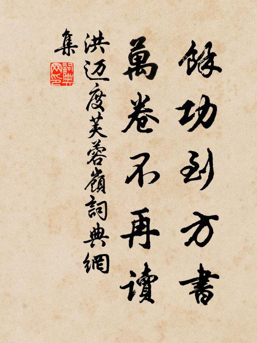 洪邁余功到方書,萬卷不再讀書法作品欣賞