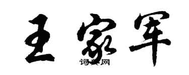 胡問遂王家軍行書個性簽名怎么寫