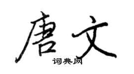 王正良唐文行書個性簽名怎么寫