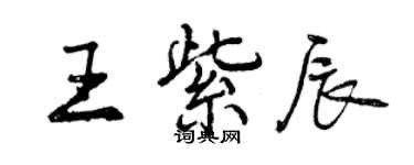 曾慶福王紫辰行書個性簽名怎么寫