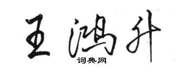 駱恆光王鴻升行書個性簽名怎么寫