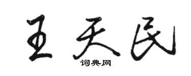 駱恆光王天民行書個性簽名怎么寫