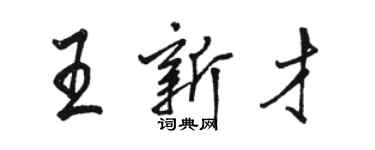 駱恆光王新才行書個性簽名怎么寫