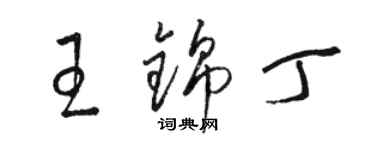 駱恆光王錦丁草書個性簽名怎么寫