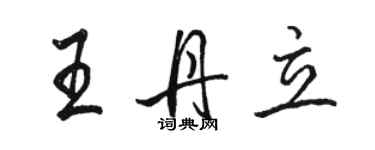 駱恆光王丹立行書個性簽名怎么寫