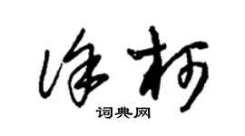 朱錫榮徐柯草書個性簽名怎么寫