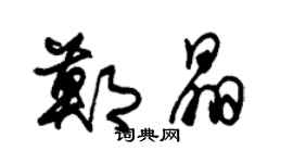 朱錫榮鄭晶草書個性簽名怎么寫