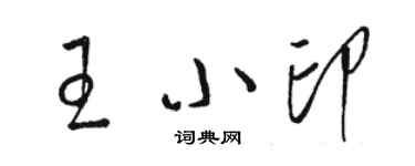 駱恆光王小印草書個性簽名怎么寫