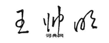 駱恆光王帥明草書個性簽名怎么寫