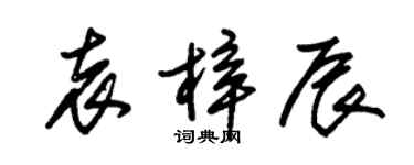 朱錫榮袁梓辰草書個性簽名怎么寫