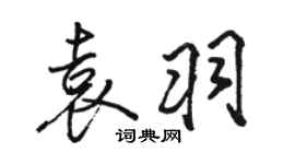 駱恆光袁羽行書個性簽名怎么寫
