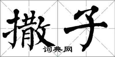 翁闓運撒子楷書怎么寫