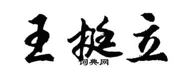 胡問遂王挺立行書個性簽名怎么寫