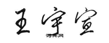 駱恆光王宇宣行書個性簽名怎么寫