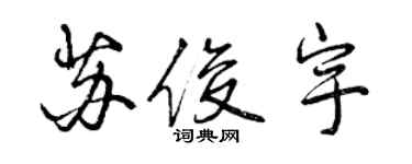 曾慶福蘇俊宇行書個性簽名怎么寫