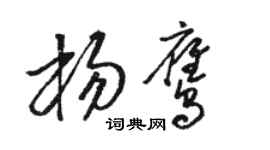 駱恆光楊鷹草書個性簽名怎么寫