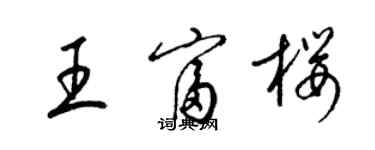 梁錦英王富櫻草書個性簽名怎么寫