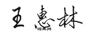 駱恆光王惠林行書個性簽名怎么寫