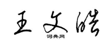 梁錦英王文皓草書個性簽名怎么寫