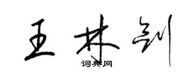 梁錦英王林劍草書個性簽名怎么寫