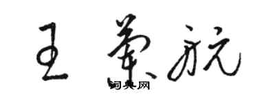 駱恆光王蘭航草書個性簽名怎么寫