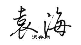 駱恆光袁海行書個性簽名怎么寫