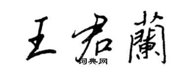 王正良王君蘭行書個性簽名怎么寫