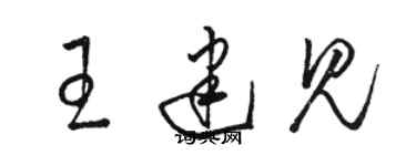 駱恆光王建見草書個性簽名怎么寫