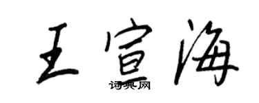 王正良王宣海行書個性簽名怎么寫