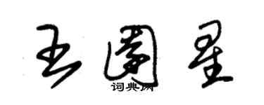 朱錫榮王園星草書個性簽名怎么寫