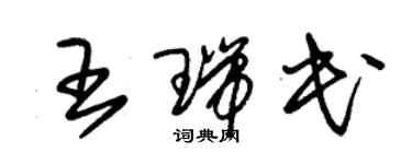 朱錫榮王瑞民草書個性簽名怎么寫