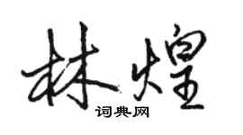 駱恆光林煌行書個性簽名怎么寫