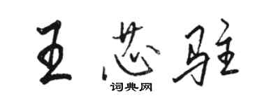 駱恆光王芯駐行書個性簽名怎么寫