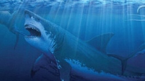 史前巨齒鯊真的存在嗎 史前巨齒鯊復活了嗎