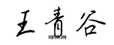 王正良王青谷行書個性簽名怎么寫