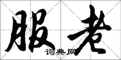 胡問遂服老行書怎么寫