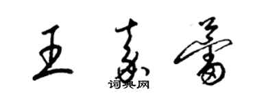 梁錦英王嘉蕾草書個性簽名怎么寫