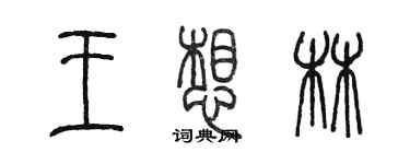 陳墨王想林篆書個性簽名怎么寫