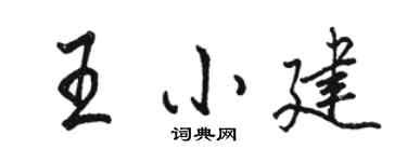 駱恆光王小建行書個性簽名怎么寫