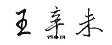 駱恆光王辛未行書個性簽名怎么寫