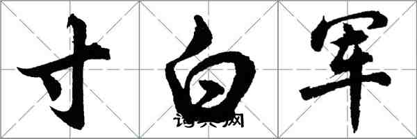 胡問遂寸白軍行書怎么寫