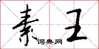 素王怎么寫好看